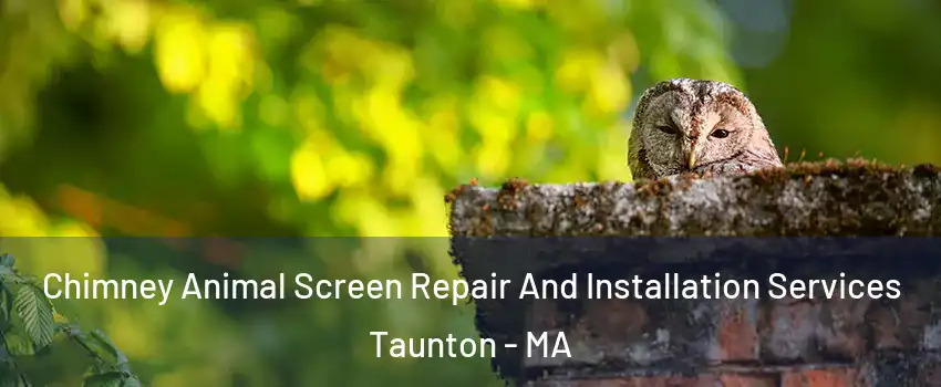  Chimney Animal Screen Repair And Installation Services Taunton - MA