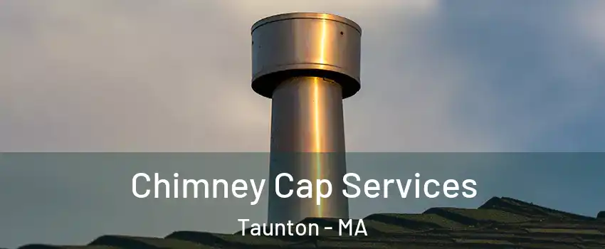  Chimney Cap Services Taunton - MA