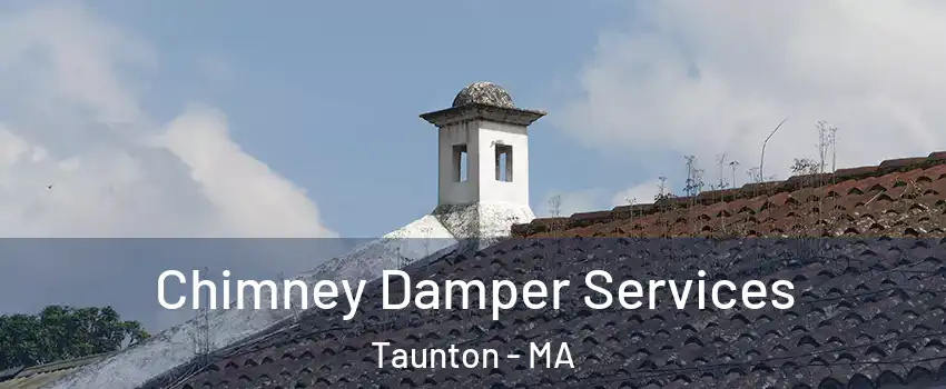  Chimney Damper Services Taunton - MA