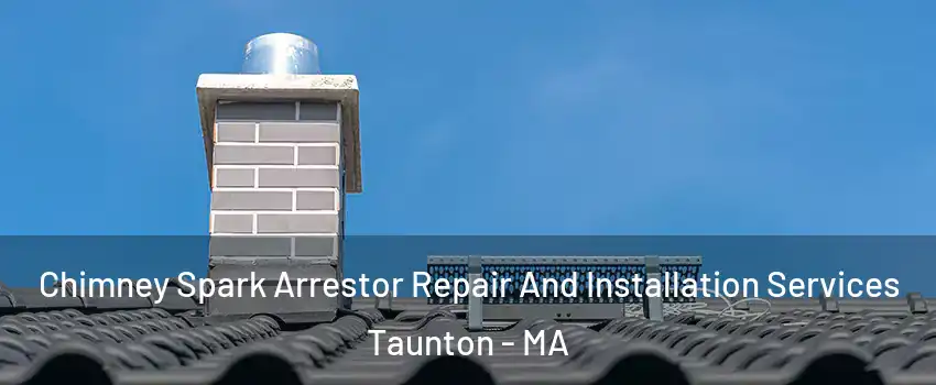  Chimney Spark Arrestor Repair And Installation Services Taunton - MA