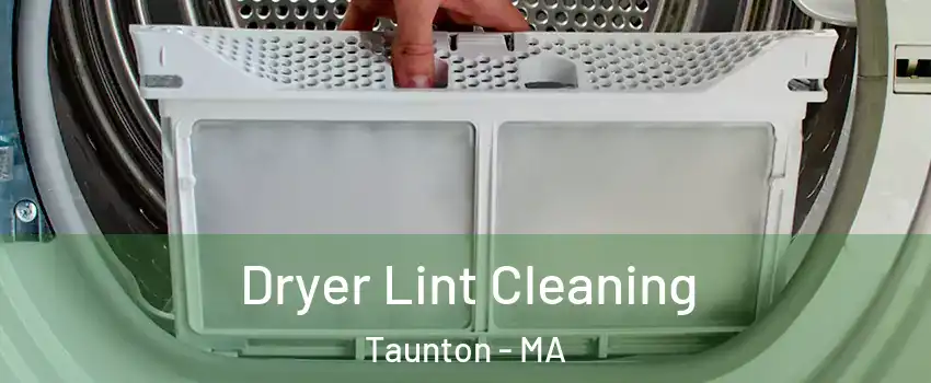  Dryer Lint Cleaning Taunton - MA