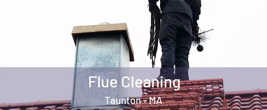  Flue Cleaning Taunton - MA