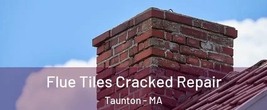  Flue Tiles Cracked Repair Taunton - MA
