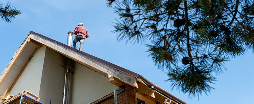 Birds Removal Contractors from Chimney in Taunton, MA