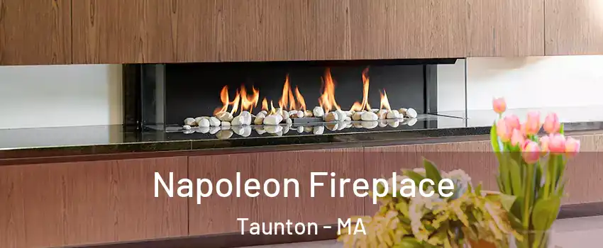  Napoleon Fireplace Taunton - MA