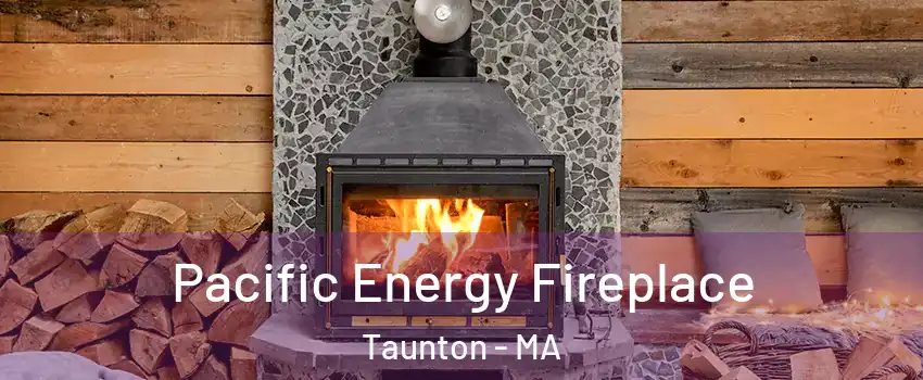  Pacific Energy Fireplace Taunton - MA