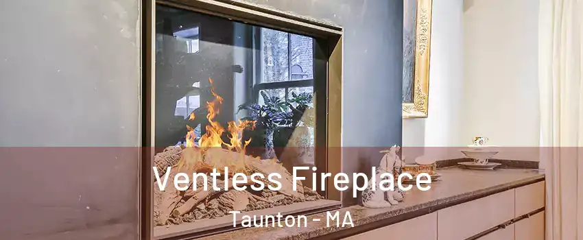  Ventless Fireplace Taunton - MA